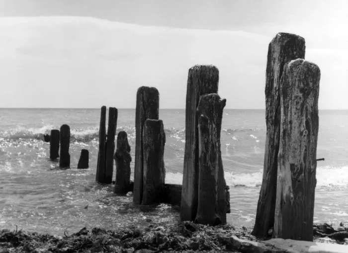 Framed Print : Beach Groyne