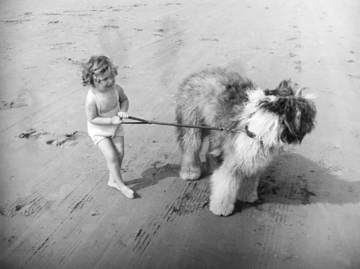 Framed Print : BEACH PALS Framed Print : BEACH PALS