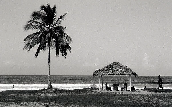 Beach scene in Trinidad, West Indies