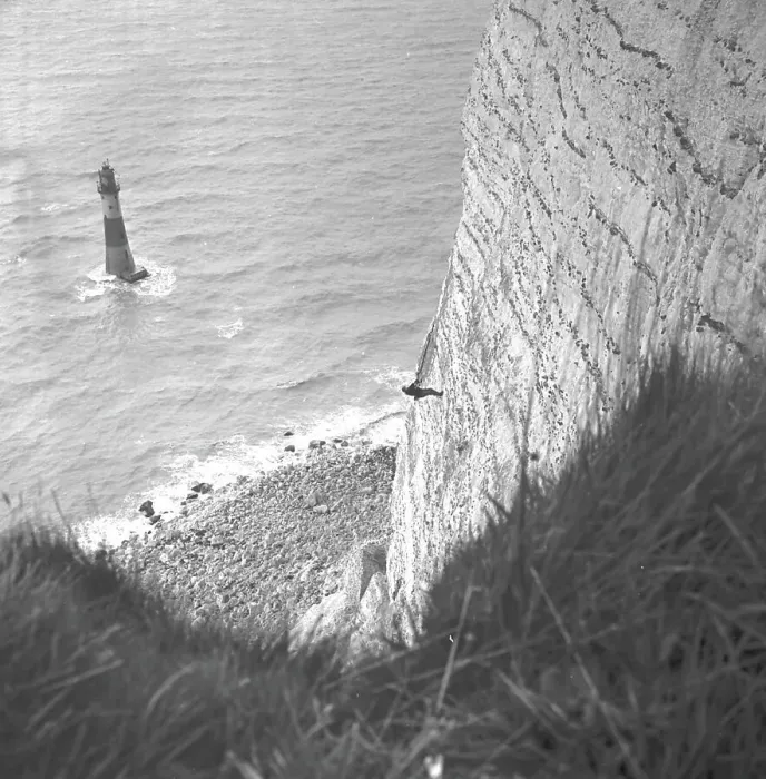 Framed Print : Beachy Head, near Eastbourne, Sussex Framed Print : Beachy Head, near Eastbourne, Sussex