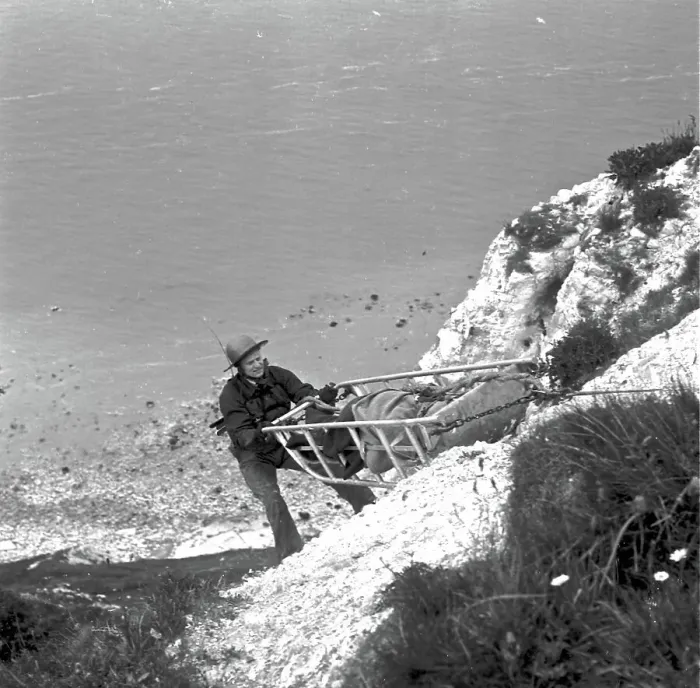Framed Print : Beachy Head, near Eastbourne, Sussex Framed Print : Beachy Head, near Eastbourne, Sussex