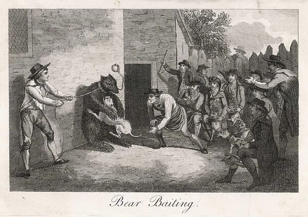 Bear Baiting C 18. The bear is chained to the wall