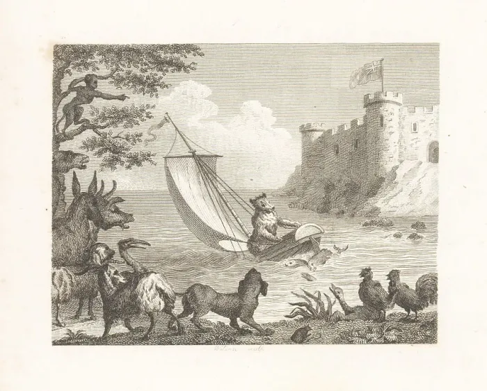 Framed Print : The Bear in a Boat Framed Print : The Bear in a Boat