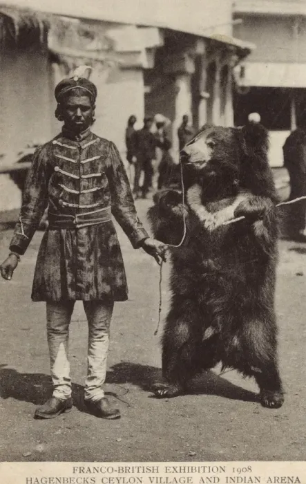 Framed Print : Bear handler - Franco-British Exhibition Framed Print : Bear handler - Franco-British Exhibition