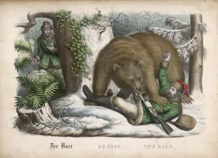 Framed Print : Bear / The Hunter Hunted Framed Print : Bear / The Hunter Hunted