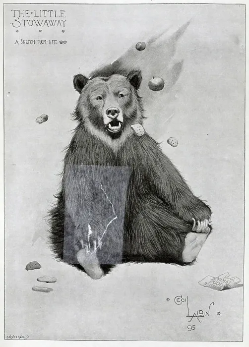Framed Print : Bear, The Little Stowaway, illustration by Cecil Aldin Framed Print : Bear, The Little Stowaway, illustration by Cecil Aldin