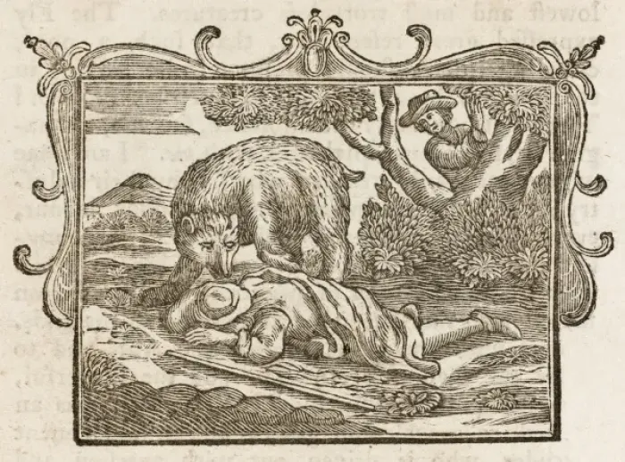 Framed Print : Bear and the Travellers Framed Print : Bear and the Travellers