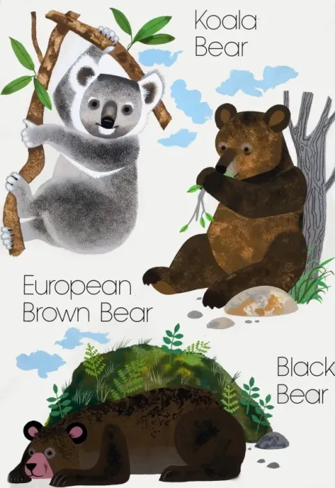 Framed Print : Bears Framed Print : Bears