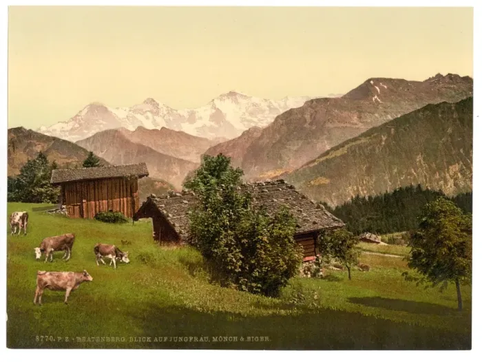 Framed Print : Beatenburg (i. e. Beatenberg), view of Jungfrau, Monch and E Framed Print : Beatenburg (i. e. Beatenberg), view of Jungfrau, Monch and E