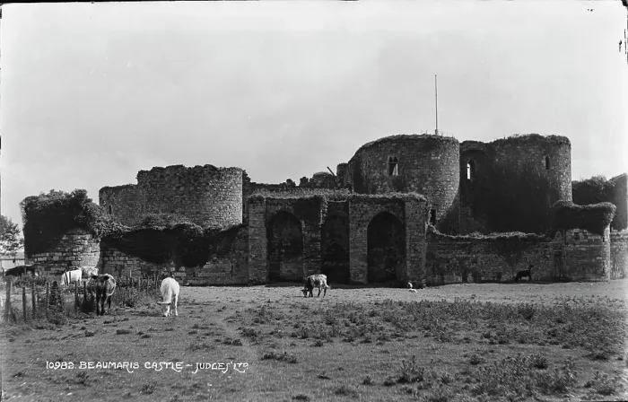 Framed Print : Beaumaris Castle Ruins Framed Print : Beaumaris Castle Ruins