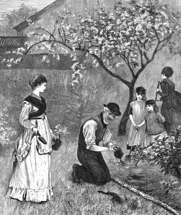 Framed Print : Bedding out in June 1870 Framed Print : Bedding out in June 1870