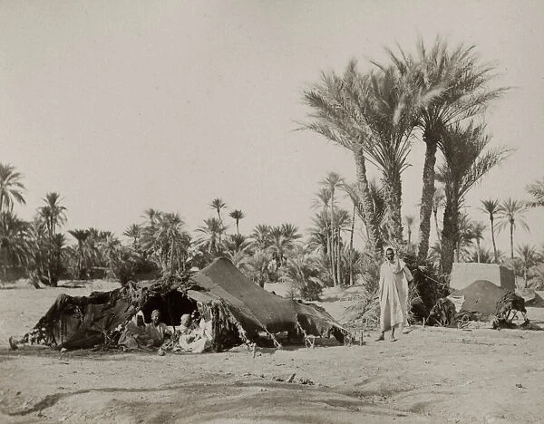 Bedouin camp, Biskra, Algeria