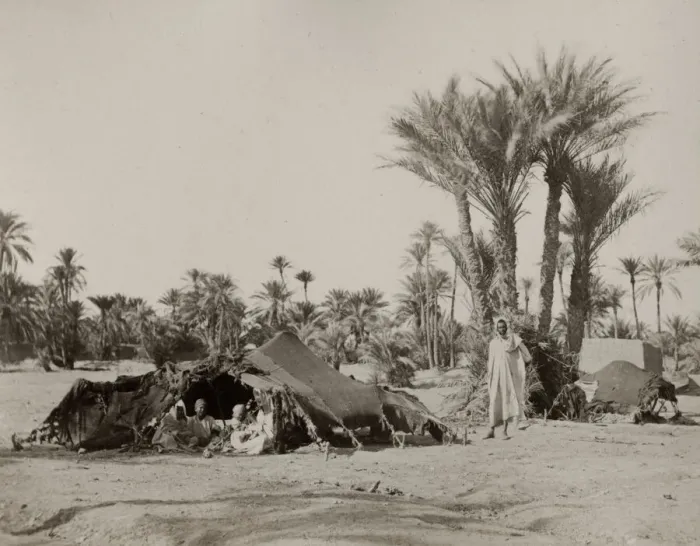 Framed Print : Bedouin camp, Biskra, Algeria Framed Print : Bedouin camp, Biskra, Algeria