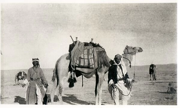 Two Bedouin men with a camel, Middle East