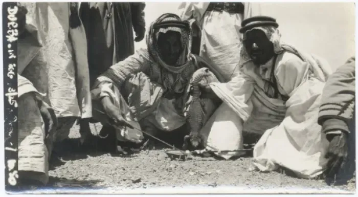 Framed Print : Two Bedouin men cooking lizard, Middle East Framed Print : Two Bedouin men cooking lizard, Middle East