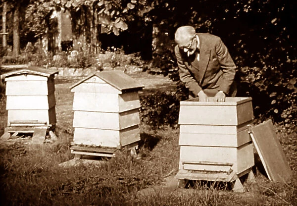 A bee keeper, early 1900s
