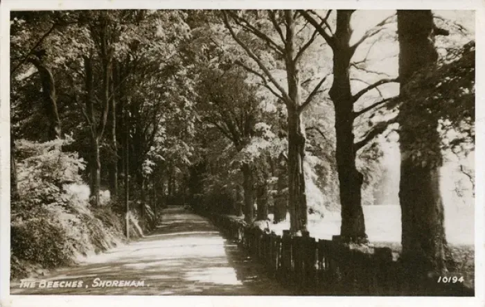 Framed Print : The Beeches, Shoreham, Kent Framed Print : The Beeches, Shoreham, Kent