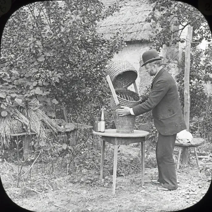 Framed Print : Beekeeping Lantern Slide series Framed Print : Beekeeping Lantern Slide series