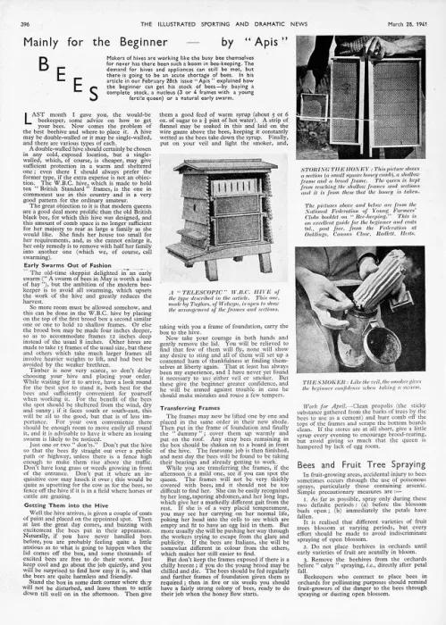 Framed Print : Bees, mainly for the beginner, 1941 Framed Print : Bees, mainly for the beginner, 1941