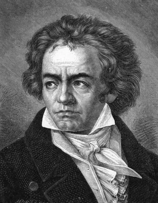 Framed Print : Beethoven (Close) Framed Print : Beethoven (Close)