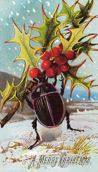 Beetle with holly on a Christmas card
