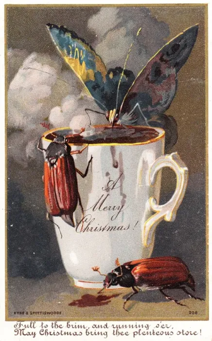 Framed Print : Two beetles and a butterfly on a Christmas card