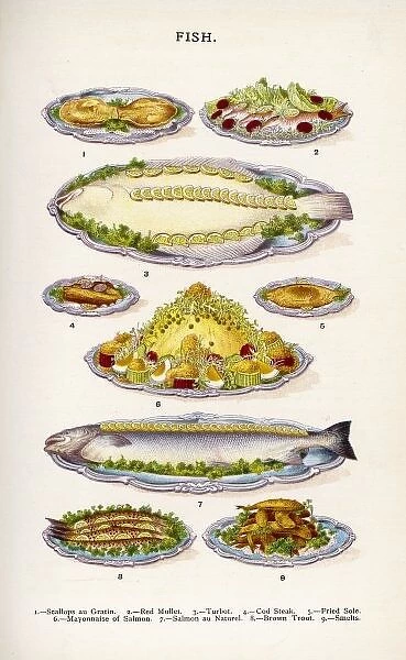 Beeton Fish. Beeton fish in Household Management book