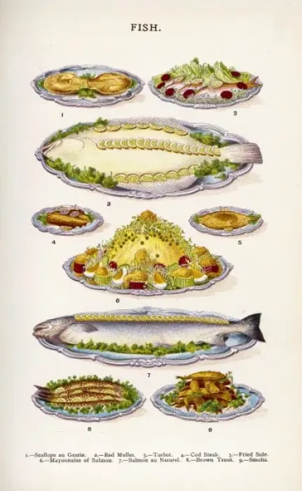 Framed Print : Beeton Fish Framed Print : Beeton Fish