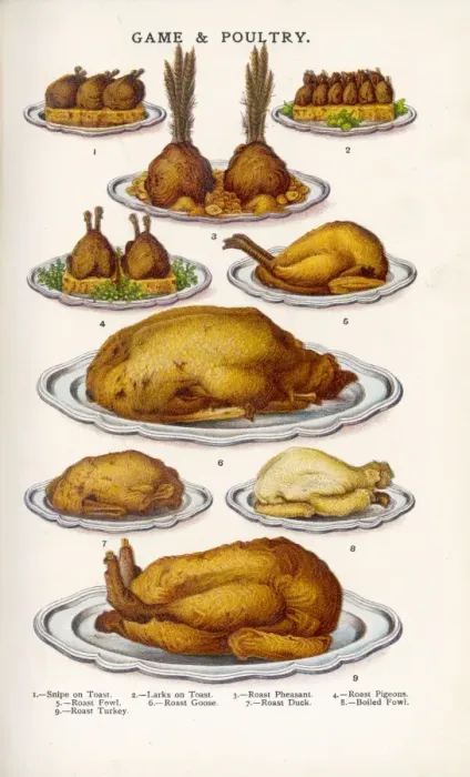 Framed Print : Beeton Game & Poultry Framed Print : Beeton Game & Poultry