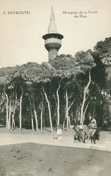 Beirut, Lebanon - Mosque Minaret in the Pine Forest Date: circa 1907
