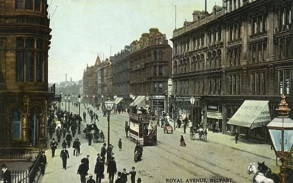 Belfast Royal Avenue