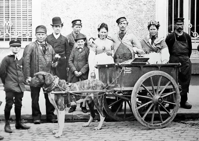 Framed Print : A Belgian dog cart, Victorian period Framed Print : A Belgian dog cart, Victorian period