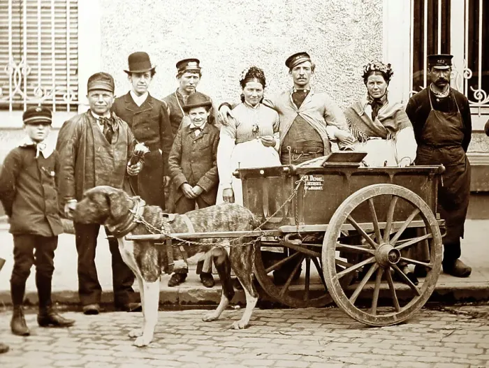 Framed Print : A Belgian dog cart, Victorian period Framed Print : A Belgian dog cart, Victorian period