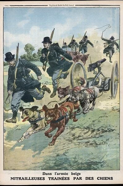 Belgian Dogs Pull Guns
