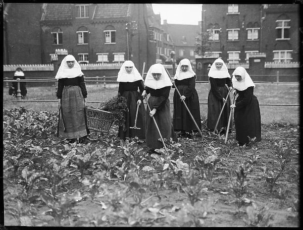Belgian Nuns Gardening