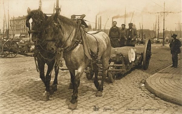 Belgium - Antwerp - Working Dock Horses