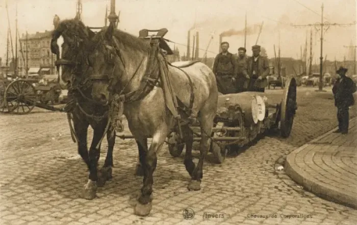 Framed Print : Belgium - Antwerp - Working Dock Horses Framed Print : Belgium - Antwerp - Working Dock Horses