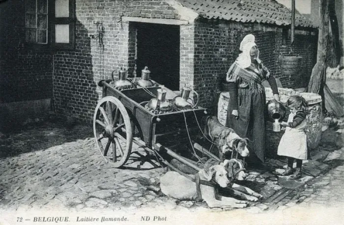 Framed Print : Belgium - Flemish Milkmaid - Dog-drawn milk cart Framed Print : Belgium - Flemish Milkmaid - Dog-drawn milk cart