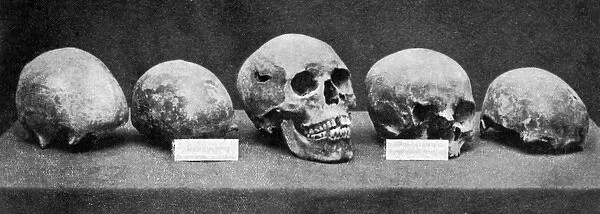 Believed to be the skull of Alfred the Great