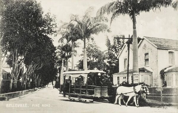 Belleville - Pine Road with Horse Tram