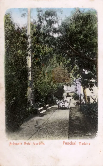 Framed Print : Belmonte Hotel Gardens, Funchal, Madeira Framed Print : Belmonte Hotel Gardens, Funchal, Madeira