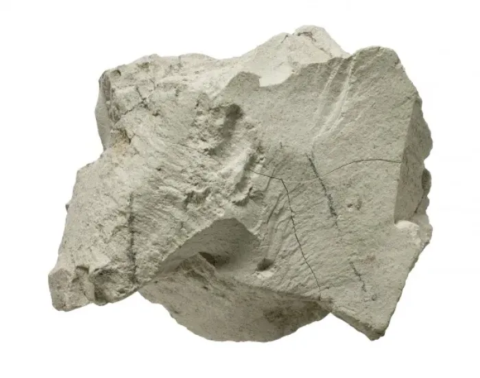Framed Print : Bentonite. A specimen of the mineral Bentonite Reg No Framed Print : Bentonite. A specimen of the mineral Bentonite Reg No