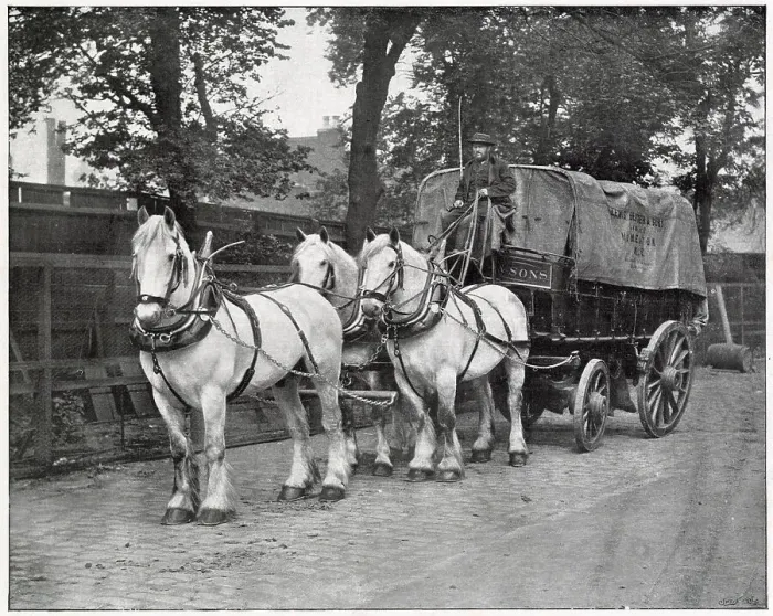 Framed Print : Berger and Sons of Homerton, London, showing their transportation, horse and cart in the trading in streets of East London. Date: 1895 Framed Print : Berger and Sons of Homerton, London, showing their transportation, horse and cart in the trading in streets of East London. Date: 1895