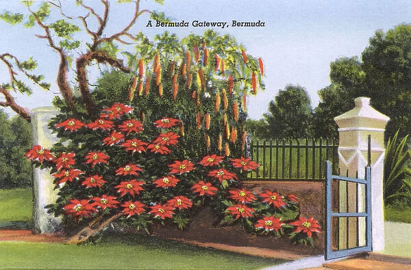 A Bermuda Gateway