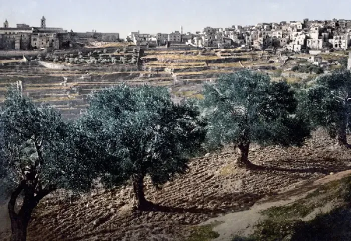 Framed Print : Bethlehem, Palestine, circa 1890s Framed Print : Bethlehem, Palestine, circa 1890s