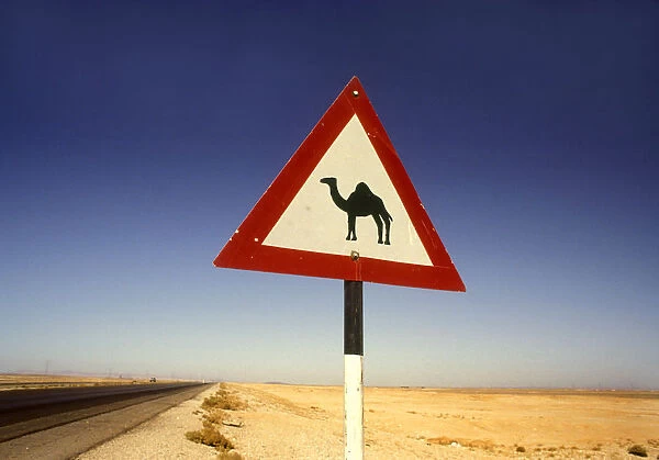 Beware camels sign, Jordan