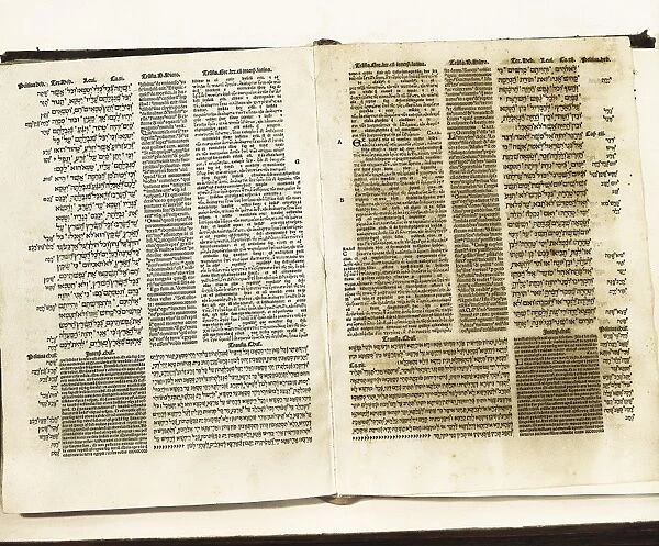 Biblia Pol�ota Complutense (The Complutensian