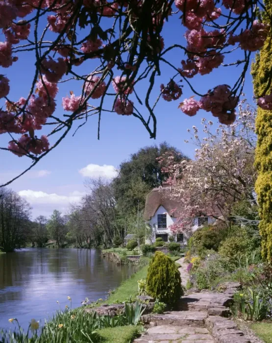 Framed Print : Bickleigh Cottage on the River Exe, Devon Framed Print : Bickleigh Cottage on the River Exe, Devon
