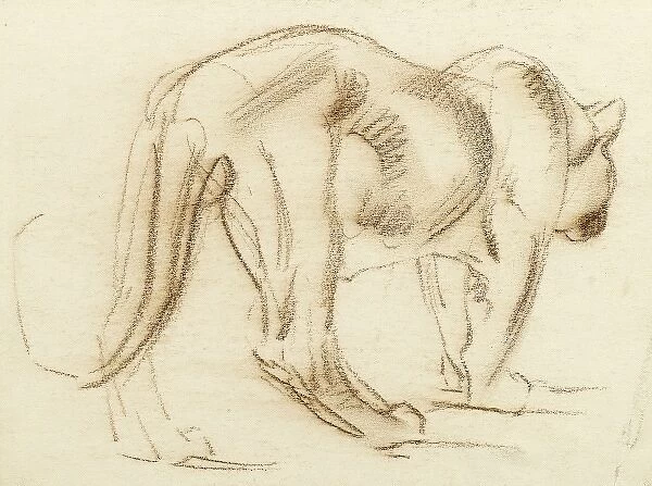 Big cat. Sketch of the back view of a big cat, possibly a puma