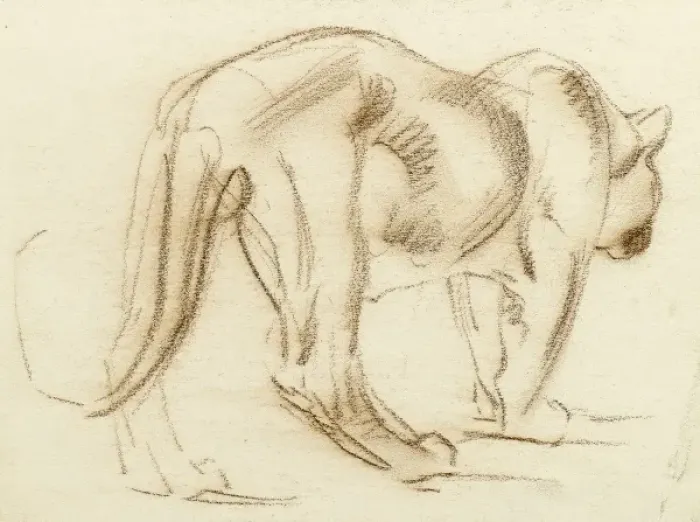 Framed Print : Big cat. Sketch of the back view of a big cat, possibly a puma Framed Print : Big cat. Sketch of the back view of a big cat, possibly a puma